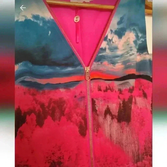 Ted Baker dress Road to nowhere - Picture 5 of 5